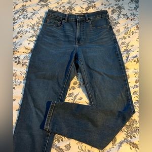 Everlane Authentic Stretch High-Rise Skinny Ankle Jean in Dark Blue Wash